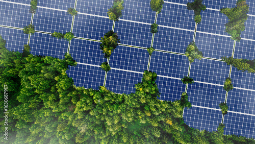 Green Business Investment, Finance, Environment Sustainable Investment Concept. Solar panels that receive energy from the sun. Electric generators in the big forest.