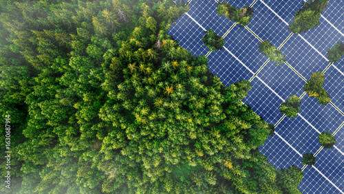 Green Business Investment, Finance, Environment Sustainable Investment Concept. Solar panels that receive energy from the sun. Electric generators in the big forest.