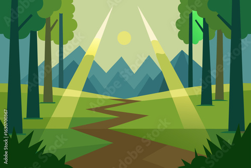 sunlight in forest clearing