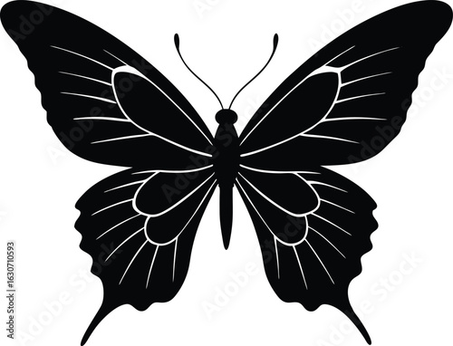 Silhouette of butterfly wings open in flight | Butterfly gliding with wings spread silhouette