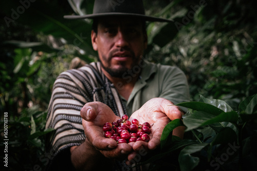 Male farmer harvesting on his coffee plantation