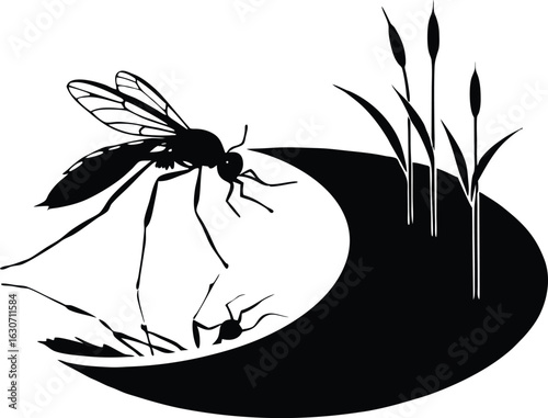 Silhouette of mosquito hovering near pond | Buzzing bug above water silhouette