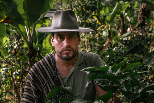 Male farmer harvesting on his coffee plantation