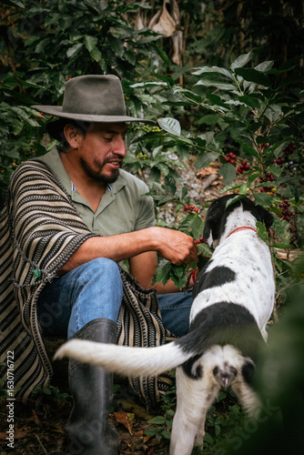Male farmer harvesting on his coffee plantation