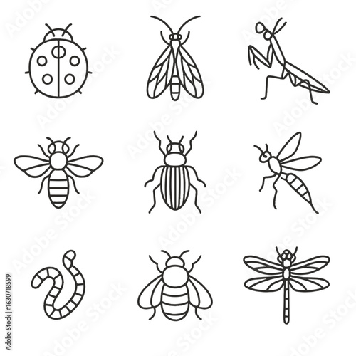 Beneficial Insect Icons. Line style icons of Beneficial Insects: lady beetle, lacewing fly, praying mantis, hoverfly, ground