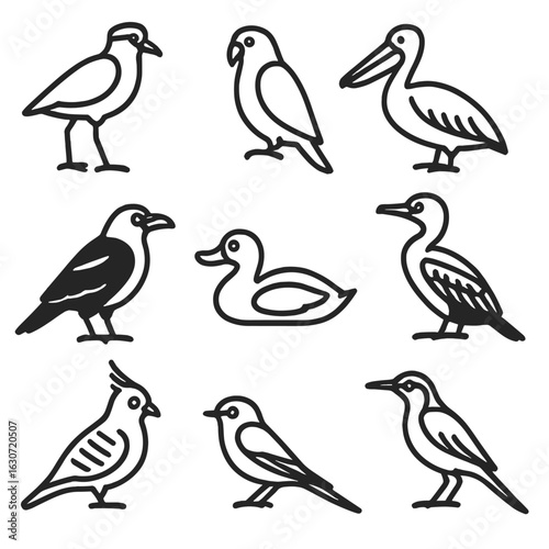 Australian Bird Icons. Line style icons of Australian birds: masked lapwing, orange-bellied parrot, australian pelican, australian