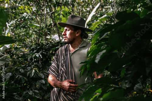 Male farmer harvesting on his coffee plantation
