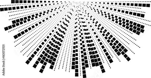Long square rays form a semi-circular structure with irregular distribution and radial alignment.