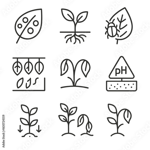 Plant Health Icons. Line style icons of plant health and diagnostics: leaf with disease spots, root rot icon, insect damage leaf,