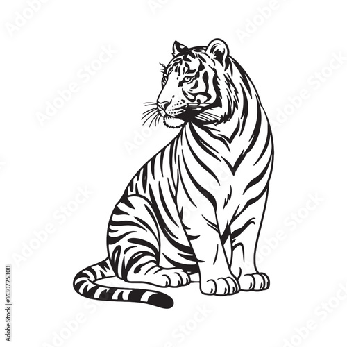 Sitting Tiger Vector Illustration - Calm Wild Cat EPS Clipart