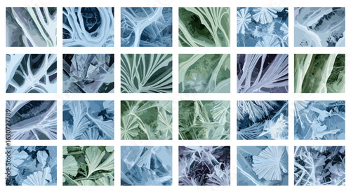 Collage of Diverse Frost Patterns Showing Delicate Winter Icy Designs