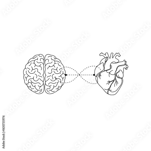 Brain and heart connected with dotted line, line art vector in minimal black stroke, concept of emotional intelligence