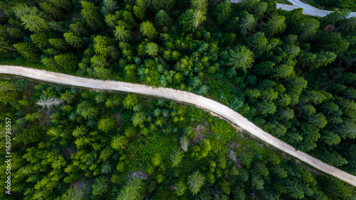 Photos Top-down drone photo of a light-colored dirt road winding through dense green pi