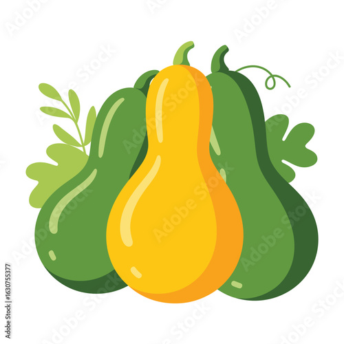 Three colorful gourds with green leaves and vines isolated on white background