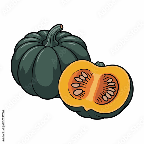 Whole and halved acorn squash illustration on white background