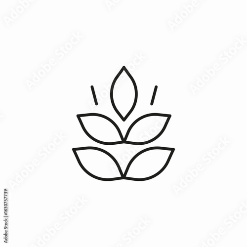 wheat grain harvest icon sign vector