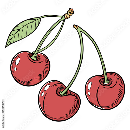 Fresh cherries illustration on a clean white background
