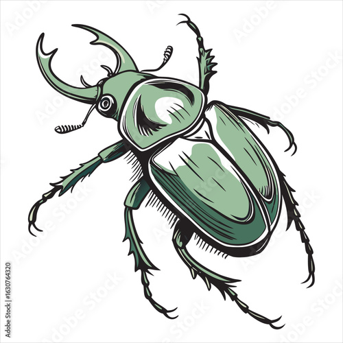 beetle-vector