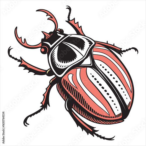 beetle-vector