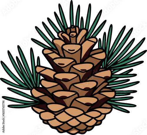Pine cone with green pine needles vector illustration isolated on white background natural forest element 