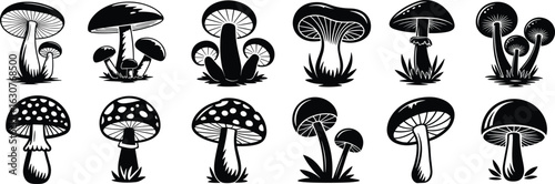 Mushroom illustration set, black and white fungi drawing, botanical cap shapes, stylized mycology vector, hand drawn sketch, cad drawing flat