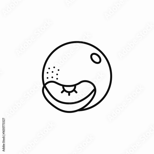 orange fruit slice icon sign vector
