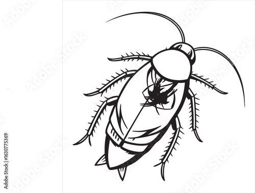 cockroach--vector-