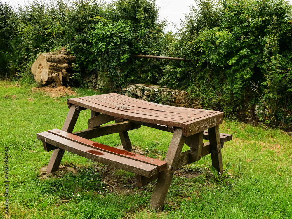 A wooden picnic table sits in a grassy field. The table is empty and surrounded by green bushes A wooden picnic table sits in a grassy field. The table is empty and surrounded by green bushes