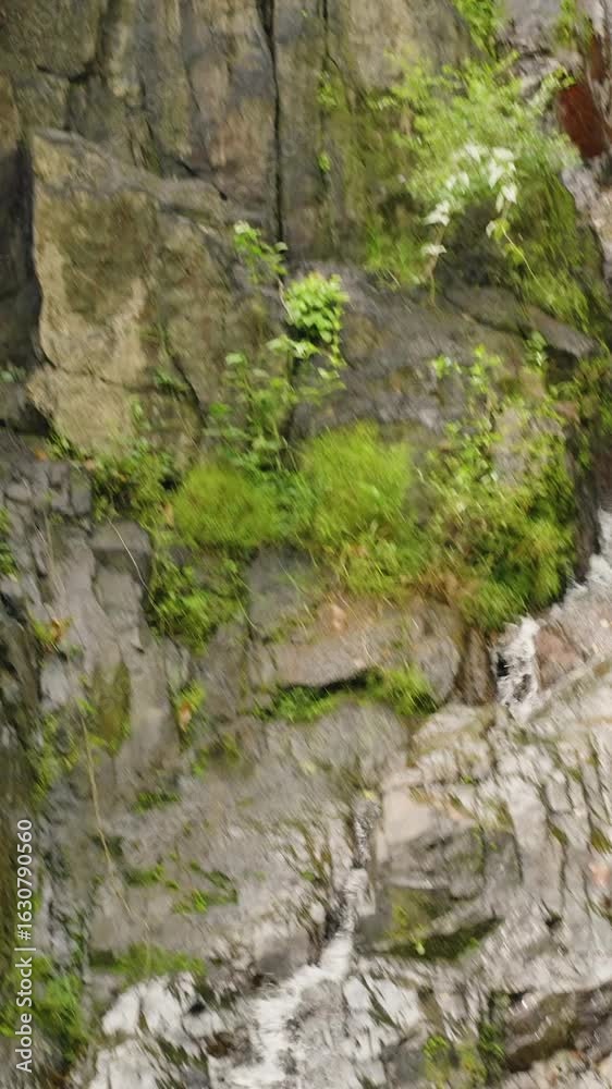 Vertical video. Small Waterfall Running Down Rocky Cliff with Green Plants and Moss Around on Bright Day From Straight Angle, Natural Serenity Concept