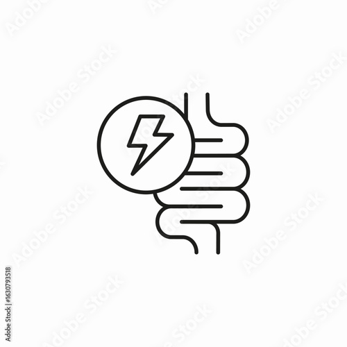 gut energy digestion icon sign vector