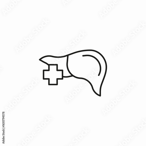 liver medical cross icon sign vector