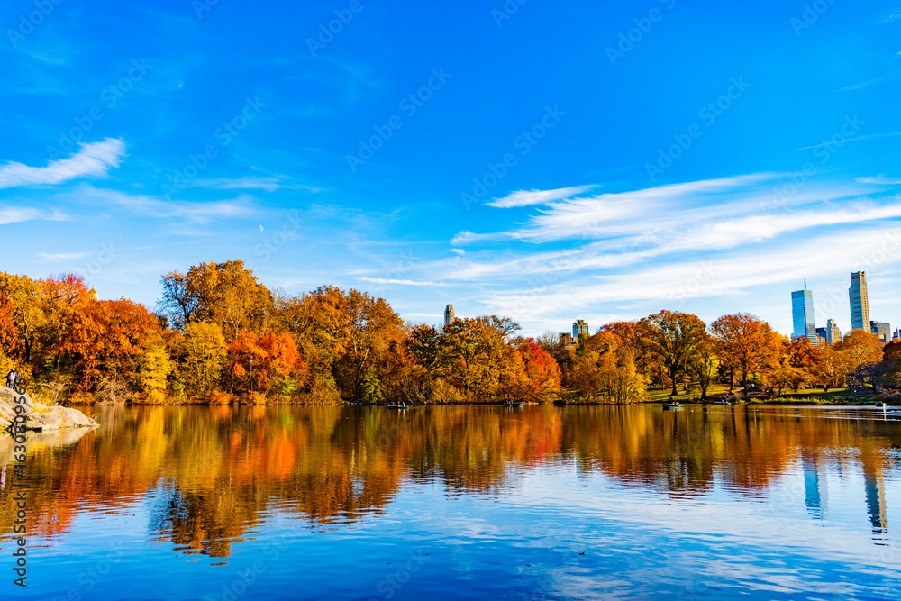 Fotobehang New York Central park in autumn. Autumn landscape with pond. Fall nature landscape. Autumn nature in Central park. Seasonal fall landscape. Park autumn tree and pond in New York. Scenic fall. Amber leaves #1630809565