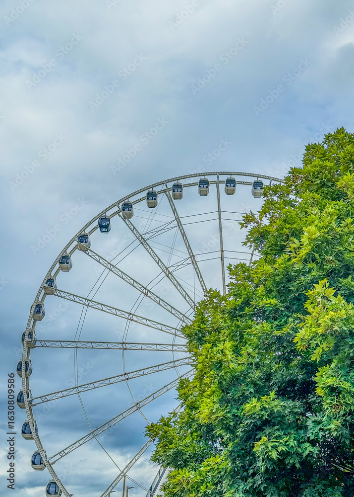 Fototapeta premium Sky Wheel with carriages viewed through trees on a cloudy day