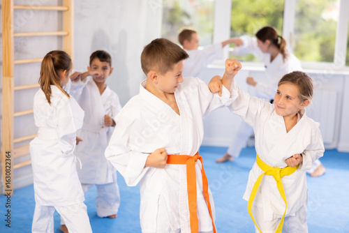 Canvas-taulu Child boys and girls partners during martial arts karate class train to perform basic blows to opponent with hands and feet