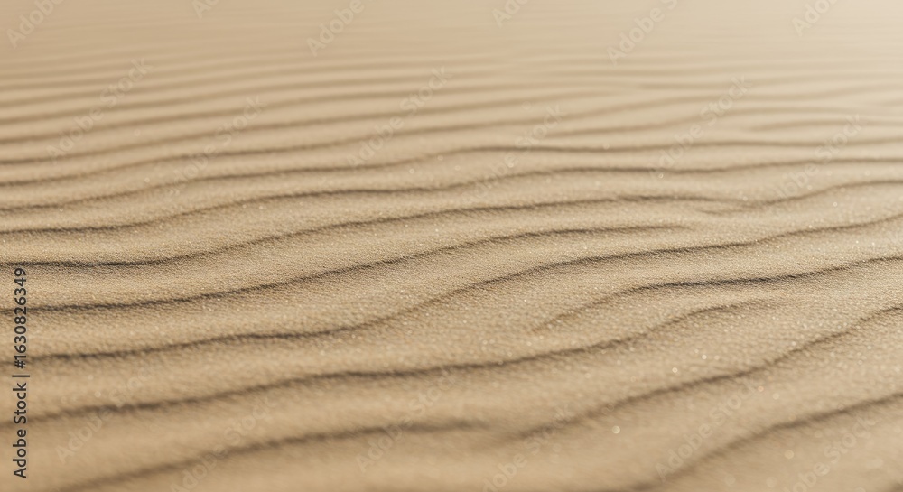 Close-up view of rippled desert sand (1) Close-up view of rippled desert sand (1)