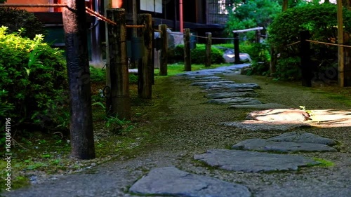 日本、京都、紅葉、寺院、黃葉、大銀杏、木、庭園、秋、青空、光、絶景、写真素材	