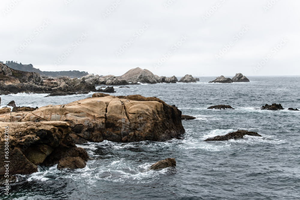 Fototapeta premium Foggy Winter Day Along Point Lobos Coastline in Monterey, CA