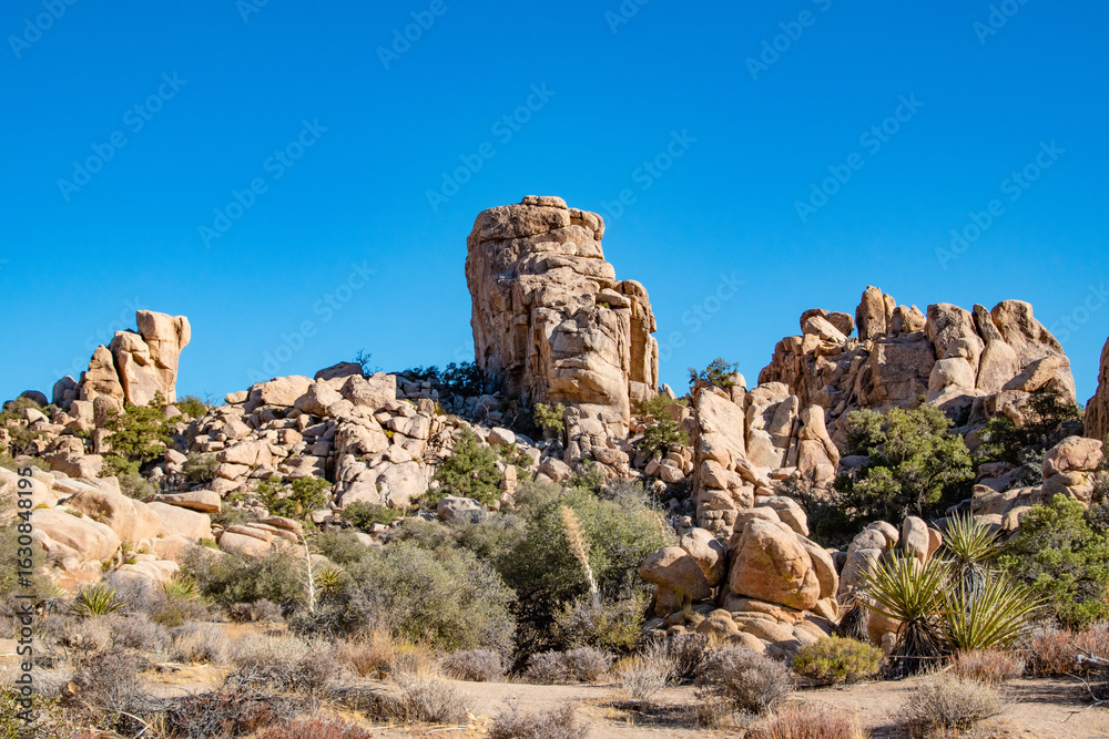 Fototapeta premium Large Rock Formation in Joshua Tree National Park, Southern California
