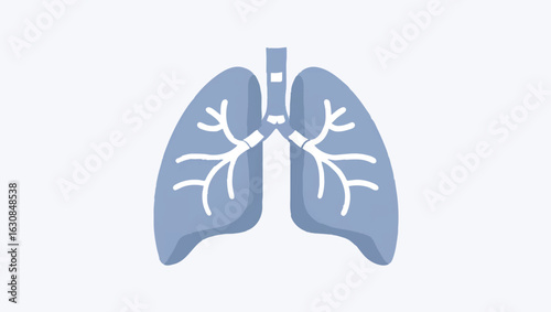 Human lungs illustration for respiratory health awareness

