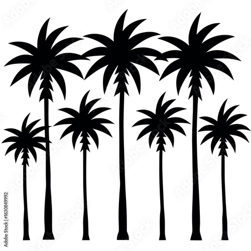 Silhouetted Palm Trees: A collection of tall, elegant palm trees create a captivating silhouette, evoking a sense of exotic paradise.