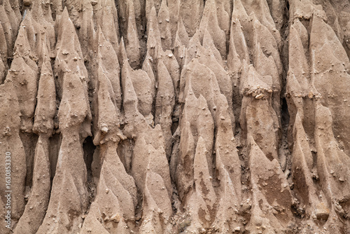 Fotografi Marine terrace sand (Older Surficial Sediments)
