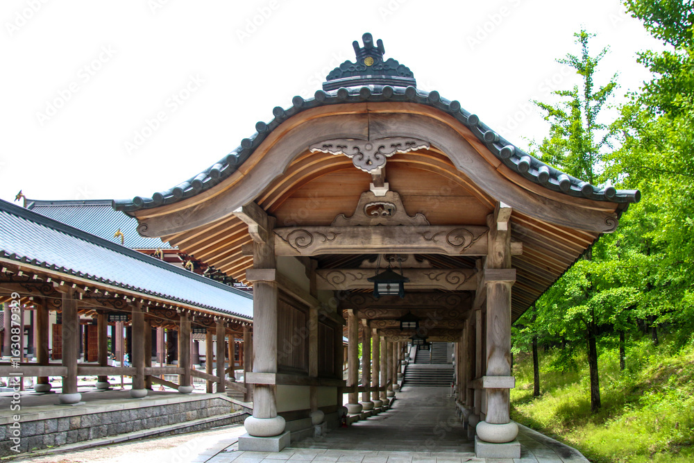 Fototapeta premium 越前大仏