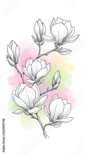 Magnolia Flowers Illustration with Soft Watercolor Background