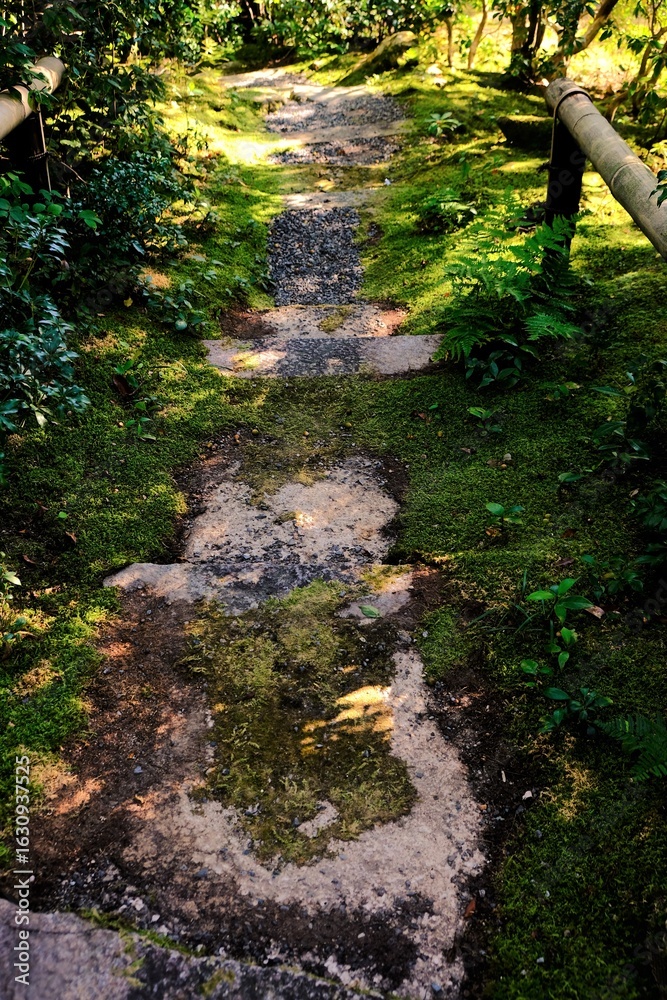 Naklejka premium 京都、紅葉、常照寺、寺院、文化財、木造建築、古代建築、日本文化、歷史名勝、古都京都の文化財、木、綠色、青空、秋、絶景、写真素材 