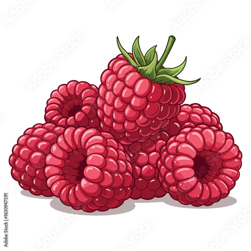 Red raspberries with green leaves. Vector illustration