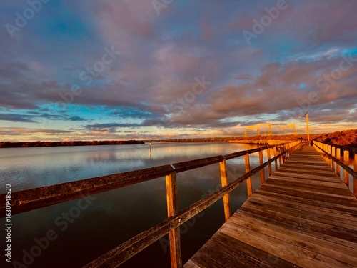 Wallpaper Mural Dolphin island Sanctuary, Port Adelaide Torontodigital.ca