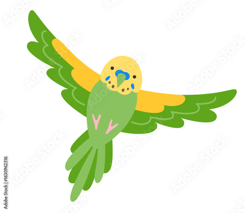 Parrot tropical cartoon illustration. Exotic bright budgerigar green parrot childish trendy art for kids, sticker card, poster cover. Wildlife jungle Hawaiian cute bird funny vivid vector character