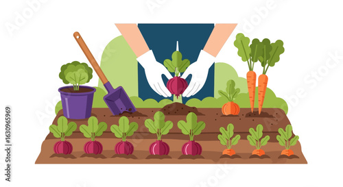 Hands planting fresh vegetables in a vibrant garden bed, cultivating healthy produce.
