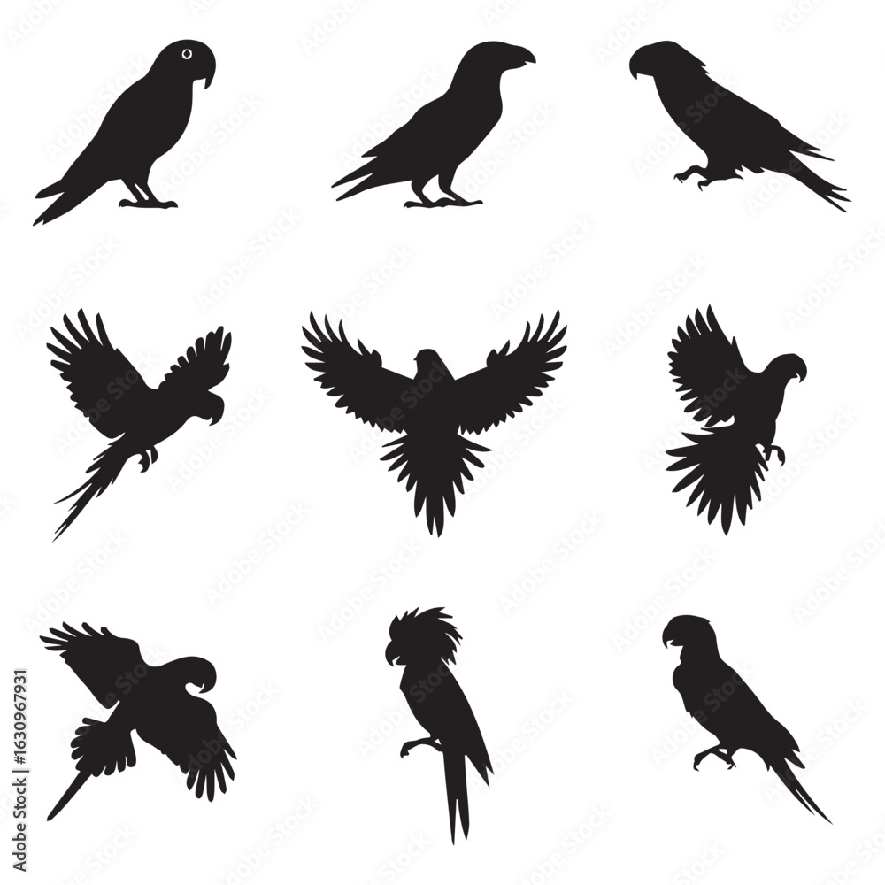Obraz premium A set of 9 black silhouette illustrations of Parrot birds white background.