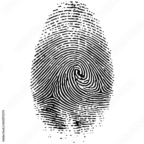Vector Detailed fingerprint with swirling ridges